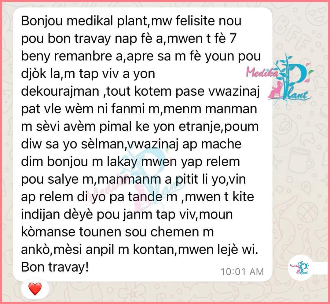 Temwayaj yon manm Hoïs sou WhatsApp