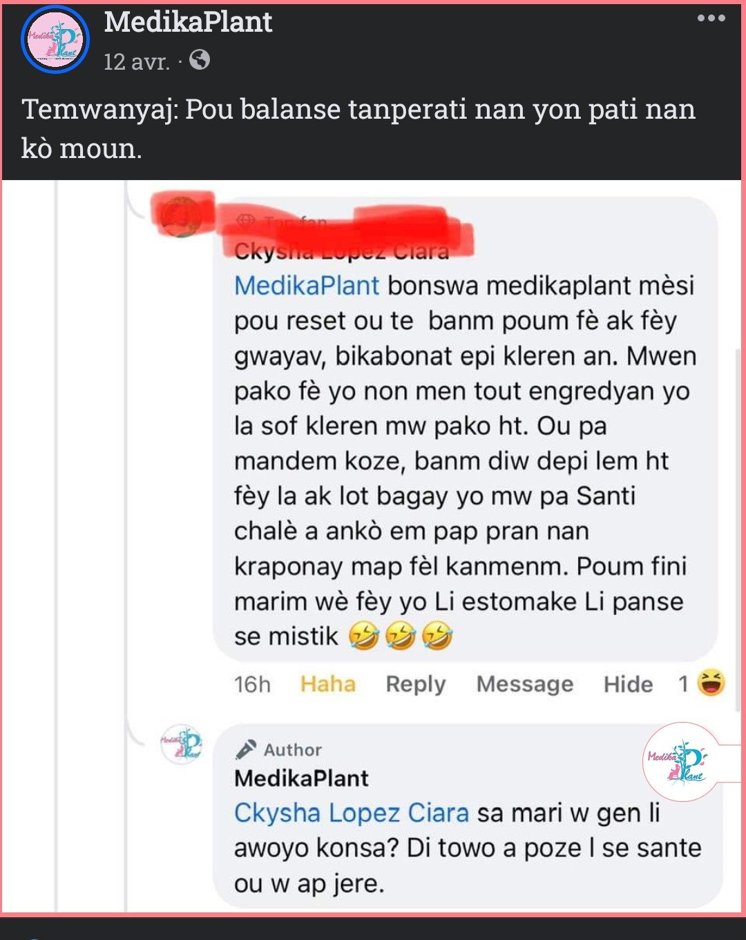 Temwayaj yon manm Hoïs sou WhatsApp