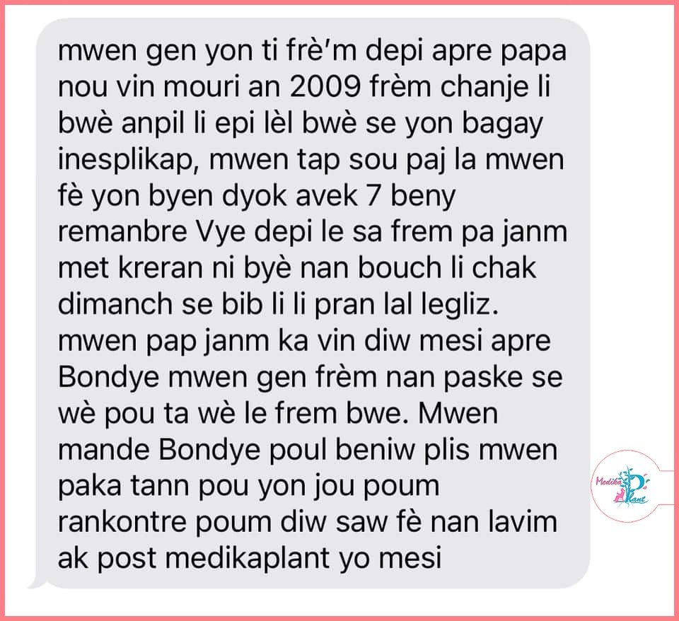 Temwayaj yon manm Hoïs sou WhatsApp