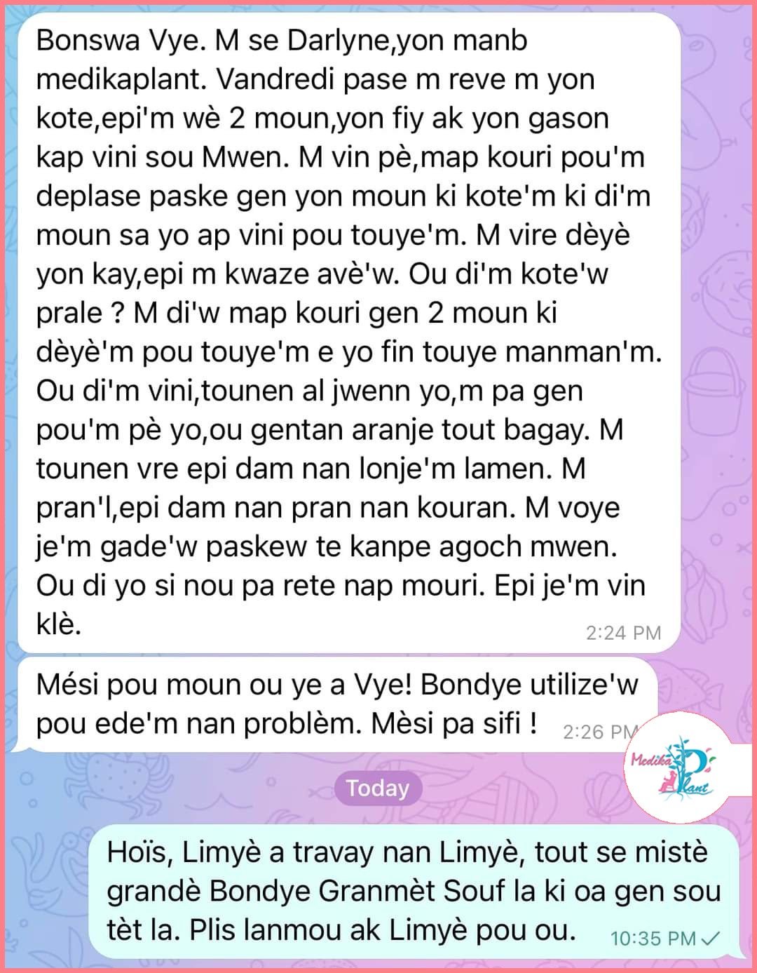 Temwayaj yon manm Hoïs sou WhatsApp