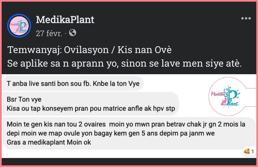 Temwayaj yon manm Hoïs sou WhatsApp