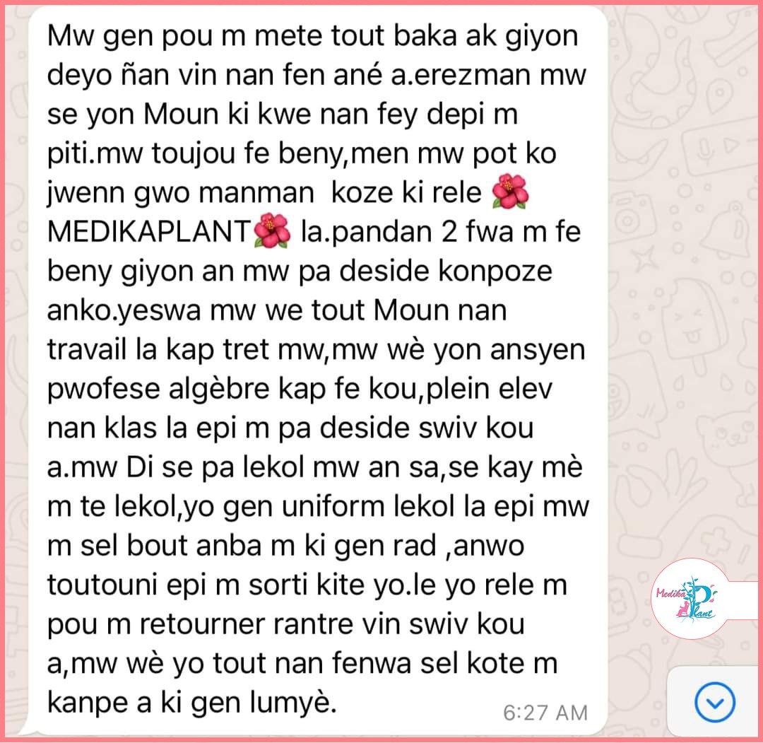 Temwayaj yon manm Hoïs sou WhatsApp