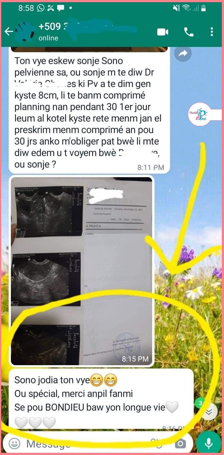 Temwayaj yon manm Hoïs sou WhatsApp