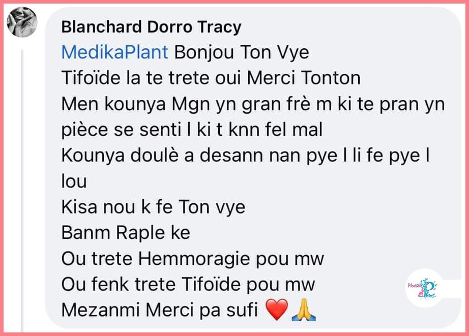 Temwayaj yon manm Hoïs sou WhatsApp